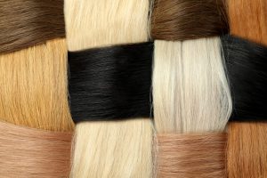 Interdum magna augue eget